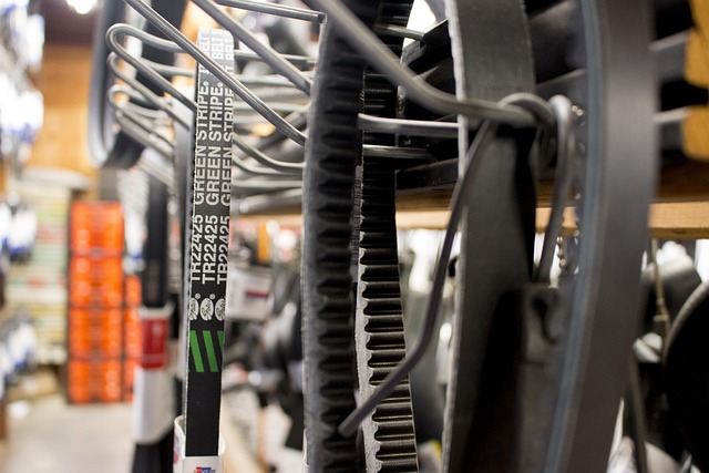 Timing Belts